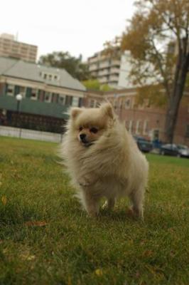 Oct18_04_369.JPG