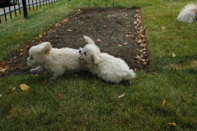 Oct18_04_372.JPG