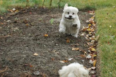 Oct18_04_375.JPG