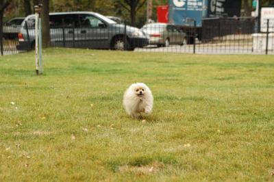 Oct18_04_378.JPG