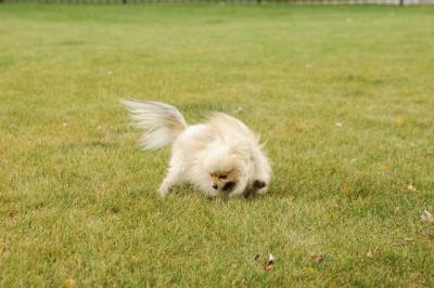 Oct18_04_389.JPG