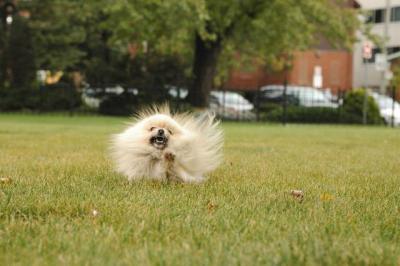 Oct18_04_392.JPG