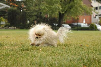 Oct18_04_396.JPG