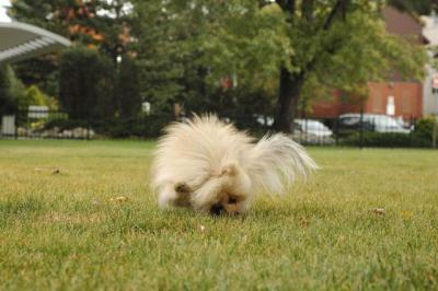 Oct18_04_397.JPG