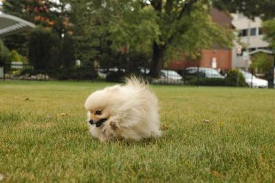 Oct18_04_399.JPG