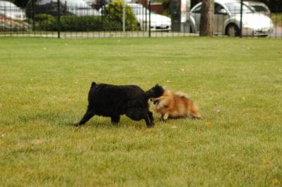 Oct18_04_405.JPG