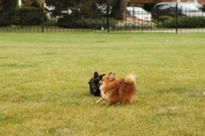 Oct18_04_407.JPG