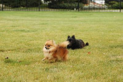 Oct18_04_408.JPG