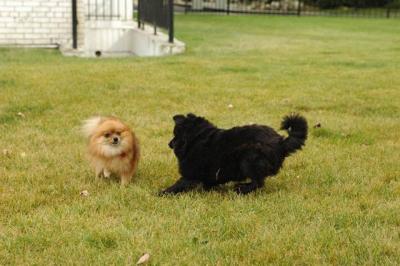 Oct18_04_411.JPG
