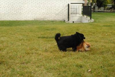 Oct18_04_412.JPG