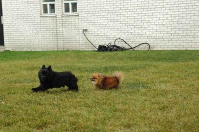 Oct18_04_413.JPG