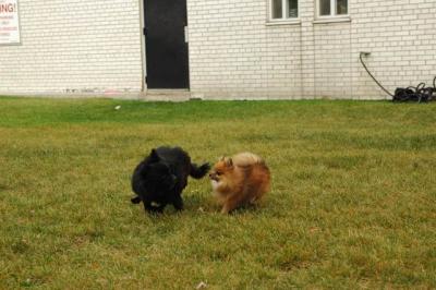 Oct18_04_414.JPG
