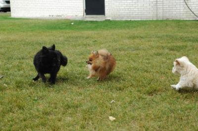Oct18_04_415.JPG