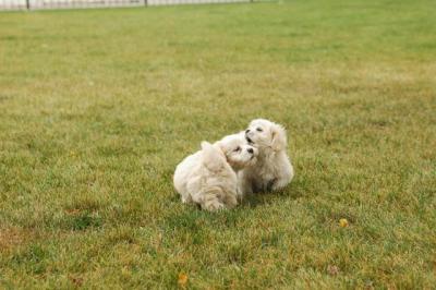 Oct18_04_416.JPG