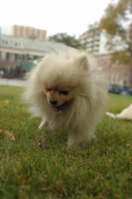 Oct18_04_436.JPG