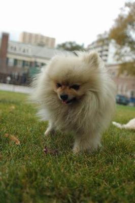 Oct18_04_437.JPG