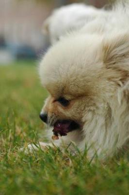 Oct18_04_440.JPG