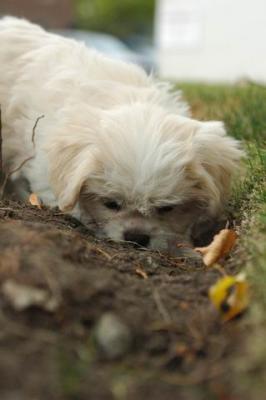 Oct18_04_447.JPG
