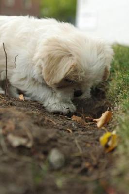 Oct18_04_448.JPG