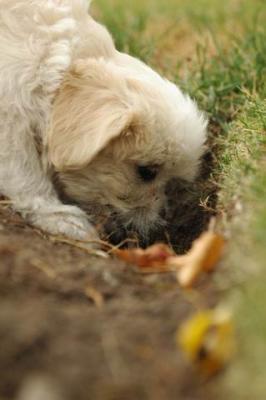 Oct18_04_449.JPG