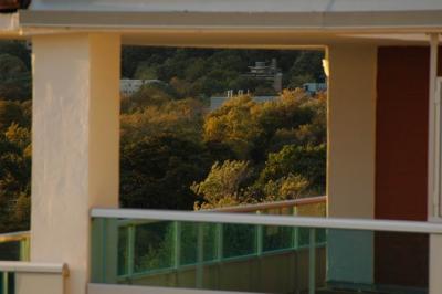Oct18_04_462.JPG