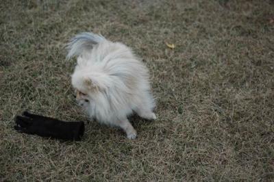 Oct18c_04_147.JPG