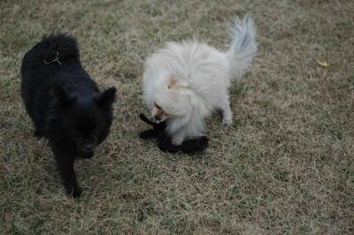 Oct18c_04_148.JPG