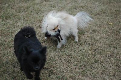 Oct18c_04_149.JPG