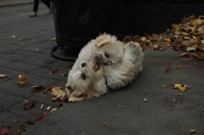 Oct19_04_040.JPG