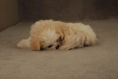 Oct20a_04_048.JPG