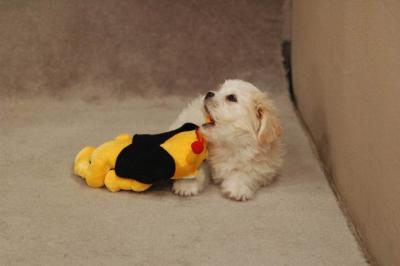 Oct20a_04_049.JPG