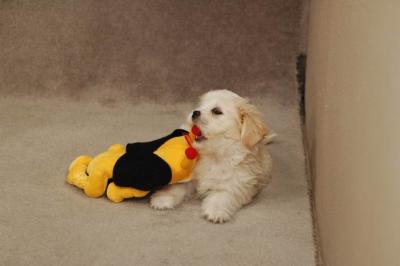 Oct20a_04_050.JPG