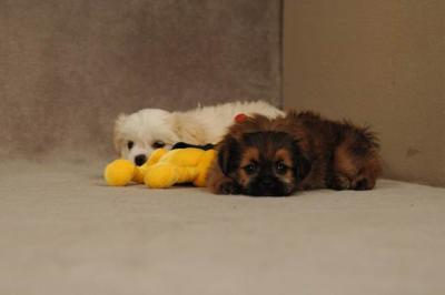 Oct20a_04_053.JPG