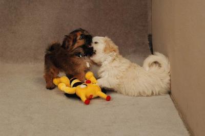 Oct20a_04_055.JPG