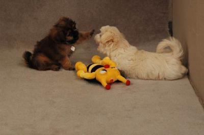 Oct20a_04_056.JPG