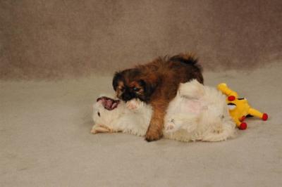 Oct20a_04_058.JPG