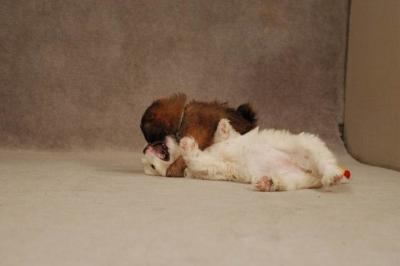 Oct20a_04_067.JPG