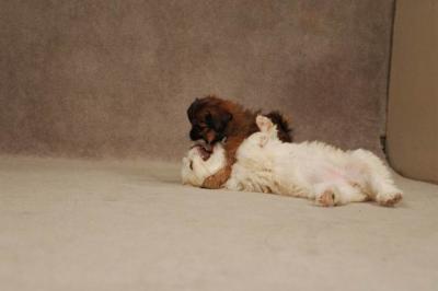 Oct20a_04_068.JPG