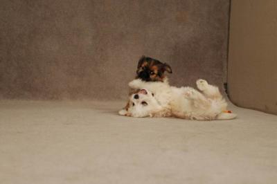 Oct20a_04_070.JPG
