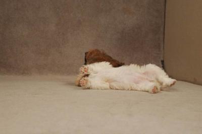 Oct20a_04_071.JPG