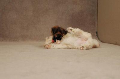 Oct20a_04_075.JPG