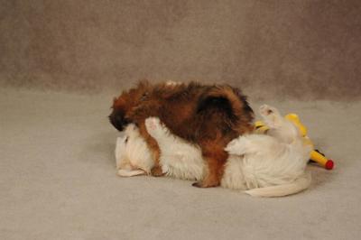 Oct20a_04_081.JPG