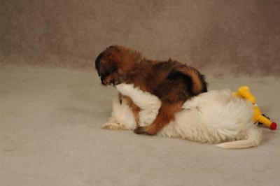 Oct20a_04_082.JPG