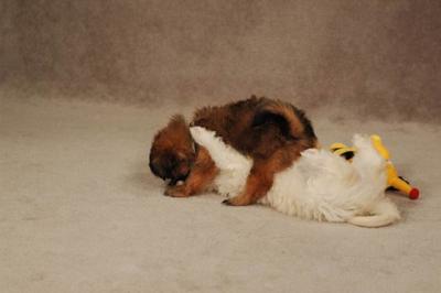 Oct20a_04_085.JPG