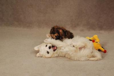 Oct20a_04_086.JPG
