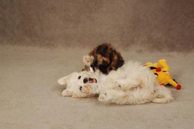 Oct20a_04_087.JPG
