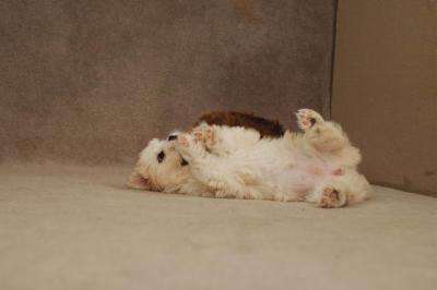 Oct20a_04_090.JPG