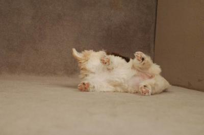Oct20a_04_091.JPG