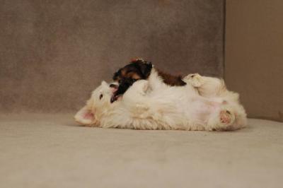 Oct20a_04_093.JPG