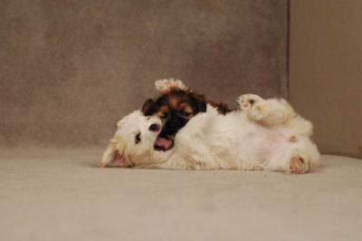 Oct20a_04_094.JPG